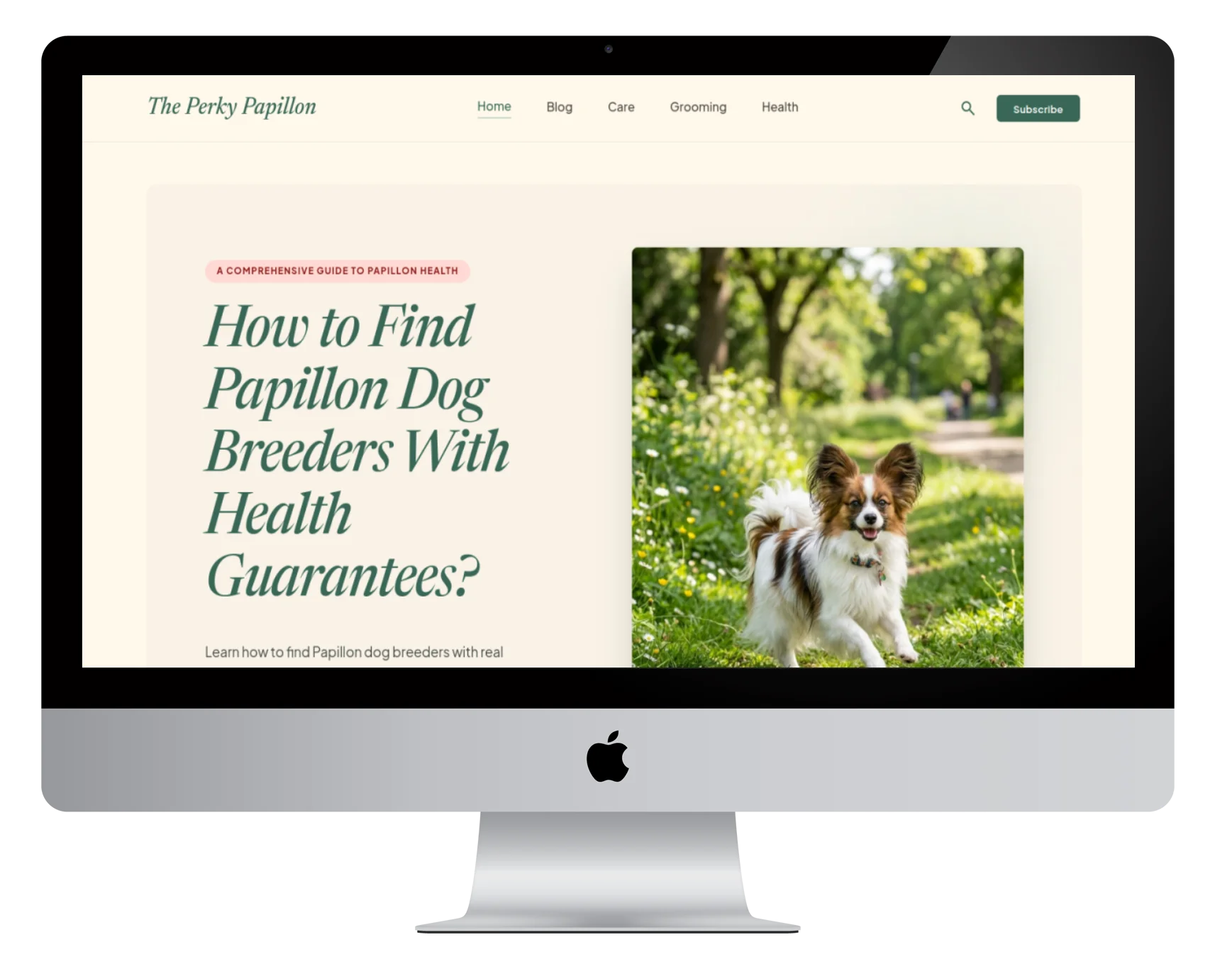 The Perky Papillon website screenshot